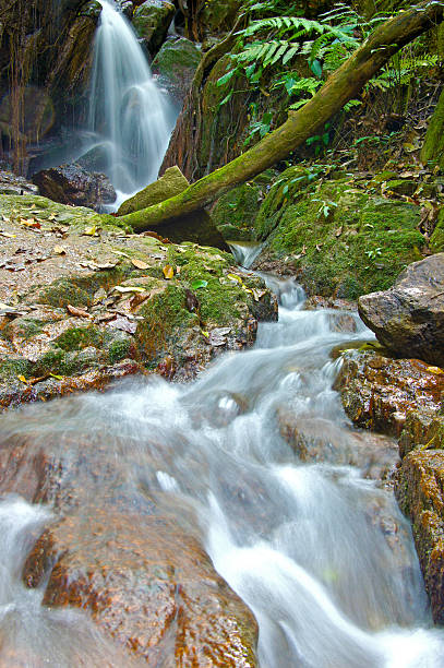 istock The small waterfall and rocks in forest, thailand 178085301