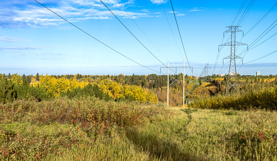 Rows of utility poles and overhead wires line an easement in southwestern British Columbia.