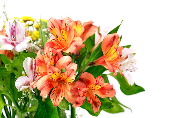 istock Bunch Of Flowers 178086406