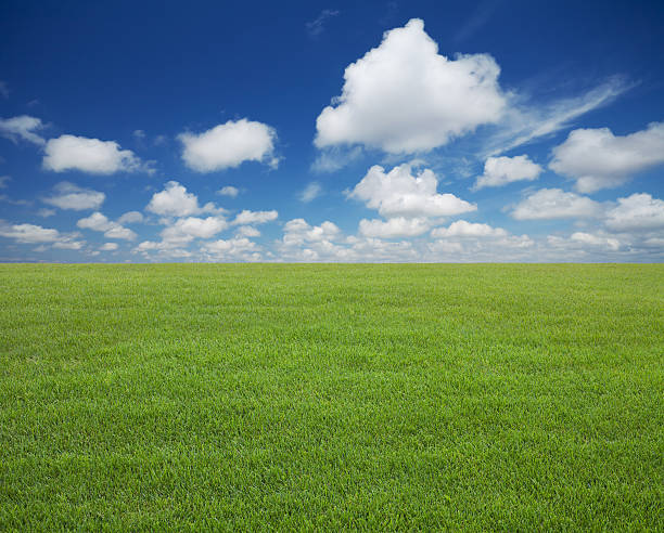 istock Green lawn with blue sky 178086735