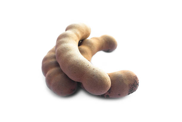 Ripe tamarind fruits isolated on white background with copy space.