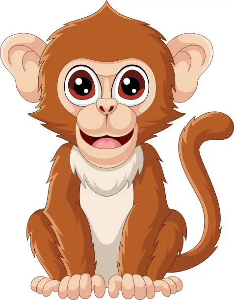 Vector illustration of Cute Macaca cartoon on white background