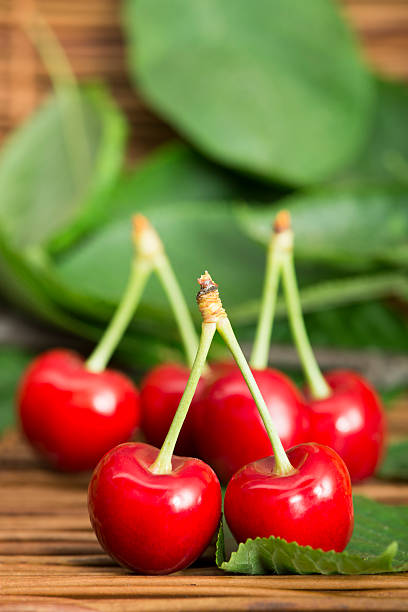istock Cherries and branch with leaves 178087764