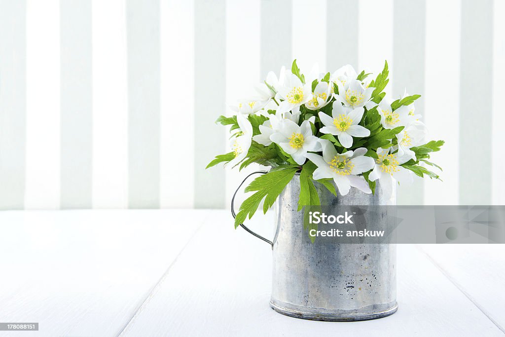 Printemps fleurs sauvages dans un vieux coupe en métal - Photo de Anémone des bois libre de droits