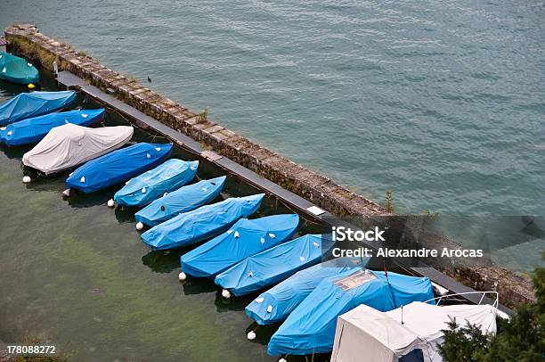 Spiez Thunersee - zdjęcia stockowe i więcej obrazów Berno - Berno, Bez ludzi, Drzewo