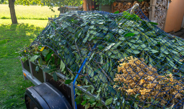 istock Trailer with garden waste in autumn 1780883584