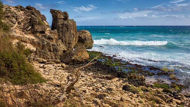 Ocean shore of Kauai stock photo