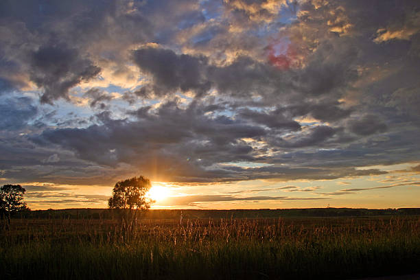 istock beautiful sunset in a field near the forest 178089090