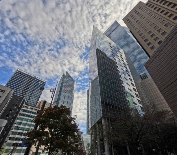 istock Tokyo skyscrapers against the blue sky 1780894357