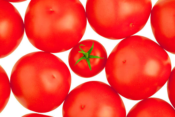 Tomatoes. White background. stock photo