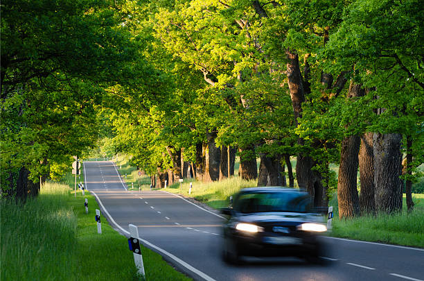 istock Black car on Country Road with Oak Trees 178089897