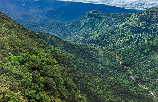 istock Deep valley gorge, Khasi Hills, Cherrapunjee, Meghalaya, India. 178090242