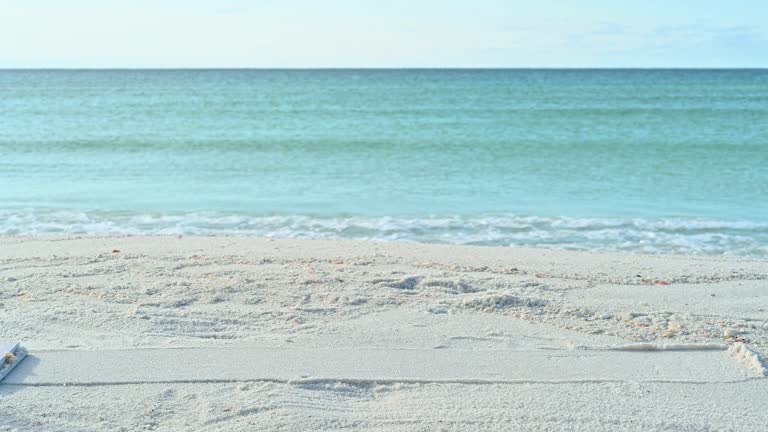 Christmas Gnome on the beach in a white sled on a sunny winter day