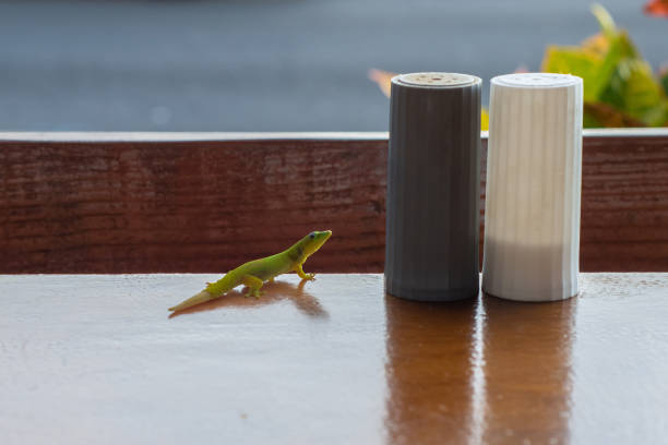 A smiling leopard gecko with large eyes and spots against an unusual background. A lizard with space for text nearby.