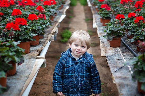 istock Little toddler boy in greenhouse 178090941