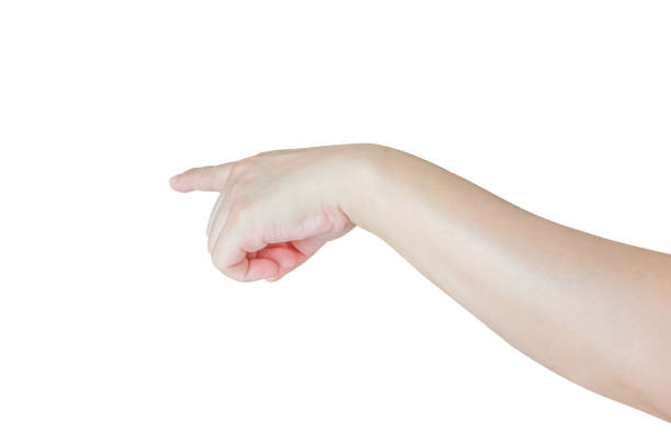 istock female hand touching or pointing to something isolated on white background 1780911633