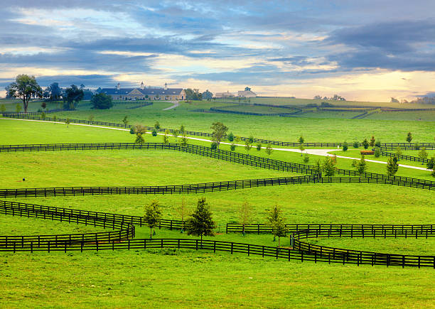 Horse country Scenic overlook of a horse farm in Central Kentucky ranch photos stock pictures, royalty-free photos & images