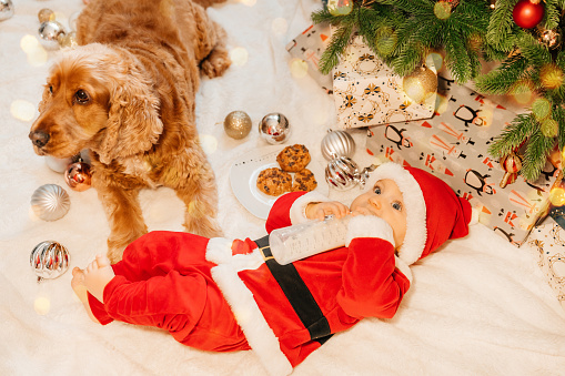 New Year's holidays.Beautiful little baby boy celebrates Christmas.A cute newborn baby in Santa's clothes on the floor against a Christmas decoration.New Year's Eve.Baby in a Christmas costume Santa's clothes with gifts on fur close to new year tree