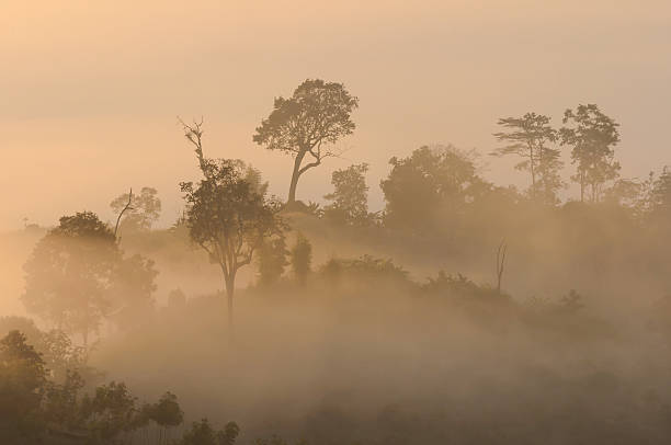 istock Beautiful morning light  mist   mountain 178091779