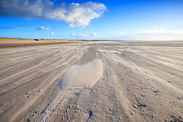 istock wind on sand beach in Ijmuiden, Holland 178092494