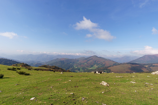 Beautiful basque countryside with horse laying om meadow at the hill at the spanish french border near Beartzun, Navarre, Spain