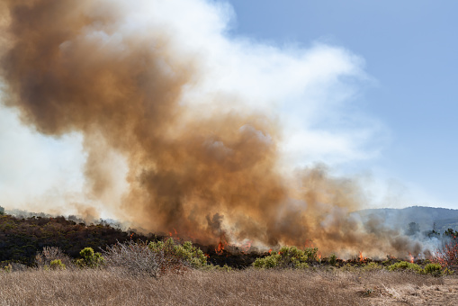 Wildfire burning in California