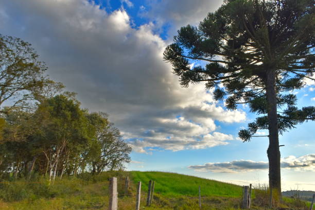 istock landscape in Santa Catarina 1780939290