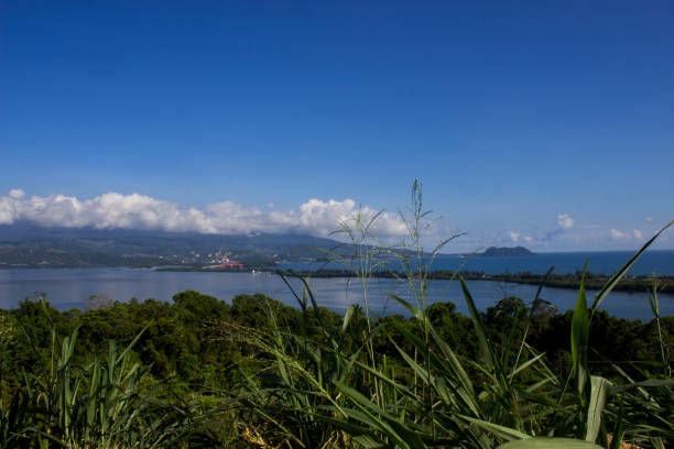 istock Beautiful natural view of Youtefa Bay 1780940496