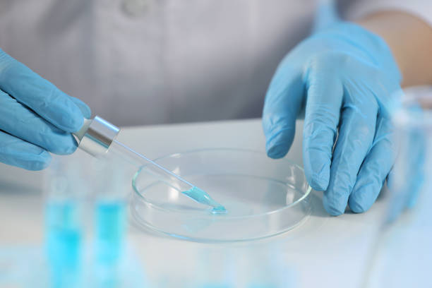 istock Scientist dripping liquid from pipette into petri dish at table, closeup 1780950455