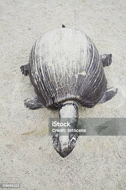Wood Turtle In Sand Stock Photo - Download Image Now - Abstract, Amphibian, Animal