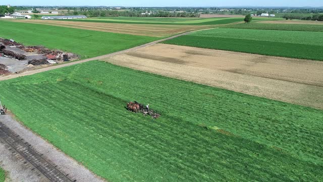 Aerial View of an Amish Farmer Harvesting His Crop, With Three Horses Pulling his Gas Power Mower