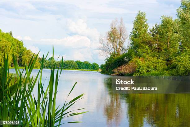 Lake Stock Photo - Download Image Now - Blue, Environment, Forest