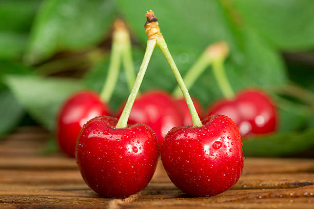 istock Cherries and branch with leaves 178096739