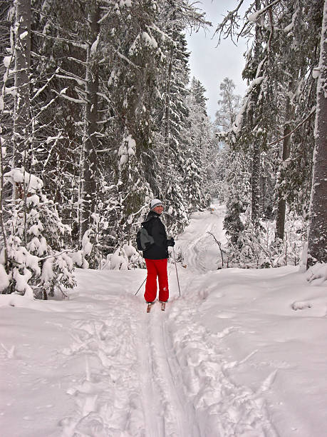 istock Winter forest. Happy woman 178096965