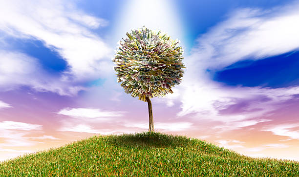 istock Stylised Money Tree Euro Bank Notes On Grassy Hill 178097072