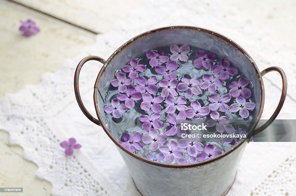Lilla petali in acqua - Foto stock royalty-free di Sottopiatto
