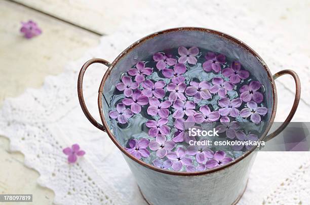 Lilla Petali In Acqua - Fotografie stock e altre immagini di Sottopiatto - Sottopiatto, Viola - Colore, Acqua