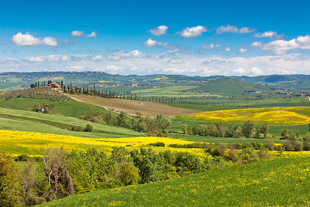 istock Tuscan farmhouse with green and yellow fields 178098163
