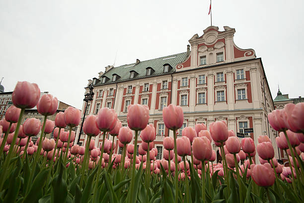 istock Poznan City Hall 178098849
