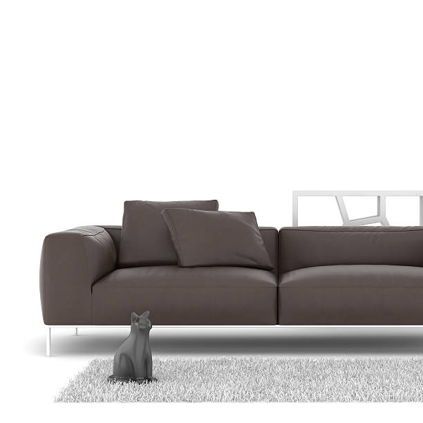 istock Leather sofa with multiple desoration pieces around it 178099269