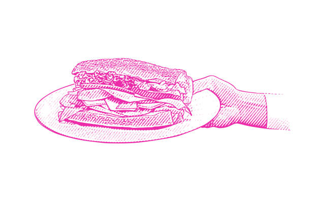 illustrations, cliparts, dessins animés et icônes de sandwich santé dans la main d’une femme - take out food white background isolated on white american cuisine