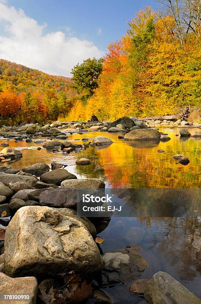 Alberi Colorati Riflette Nel Flusso - Fotografie stock e altre immagini di Paesaggio - Paesaggio, Virginia Occidentale - Stato USA, Acqua