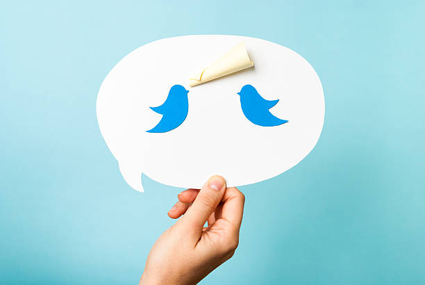 ręka trzymająca dymek. niebieskie ptaki megafon. zawartość koncepcji marketingowych - twitter zdjęcia i obrazy z banku zdjęć