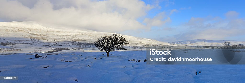 Yorkshire Dales National Park in Winter A view across the snow covered moorland with the Ribblehead Railway Viaduct in the far right  and Great Whernside mountain in left middle distance. Agriculture Stock Photo