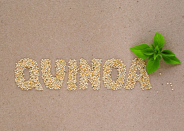 Quinoa word with basil stock photo