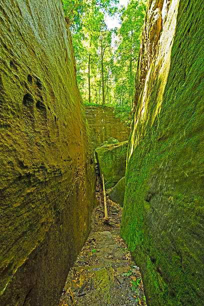 mossy trail durch einen natürlichen felsen-schlucht - shawnee national forest stock-fotos und bilder