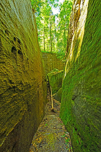 mossy por un sendero natural con rocas barranco - shawnee national forest fotografías e imágenes de stock