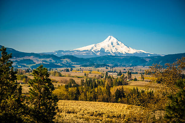 istock Mt Hood Vally and apple orchards 178101941