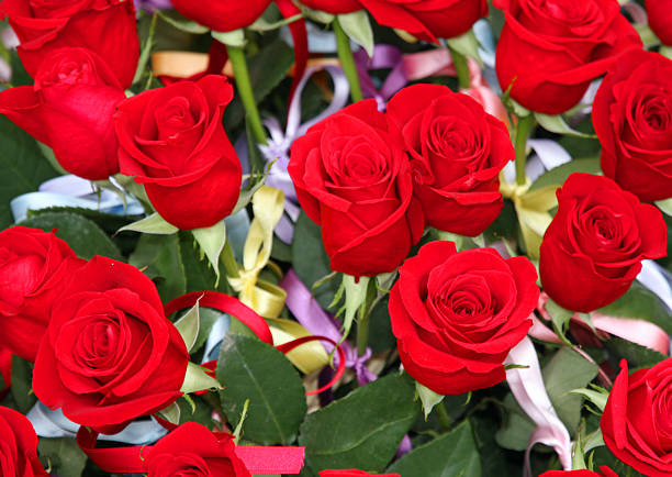 incredible bunch of lots of red roses in tribute to women and to the winner