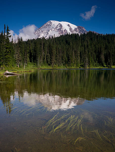 istock Vertical Composition Mt. Rainier Mirrored Reflction Lake Cascade Range Washington 178102463